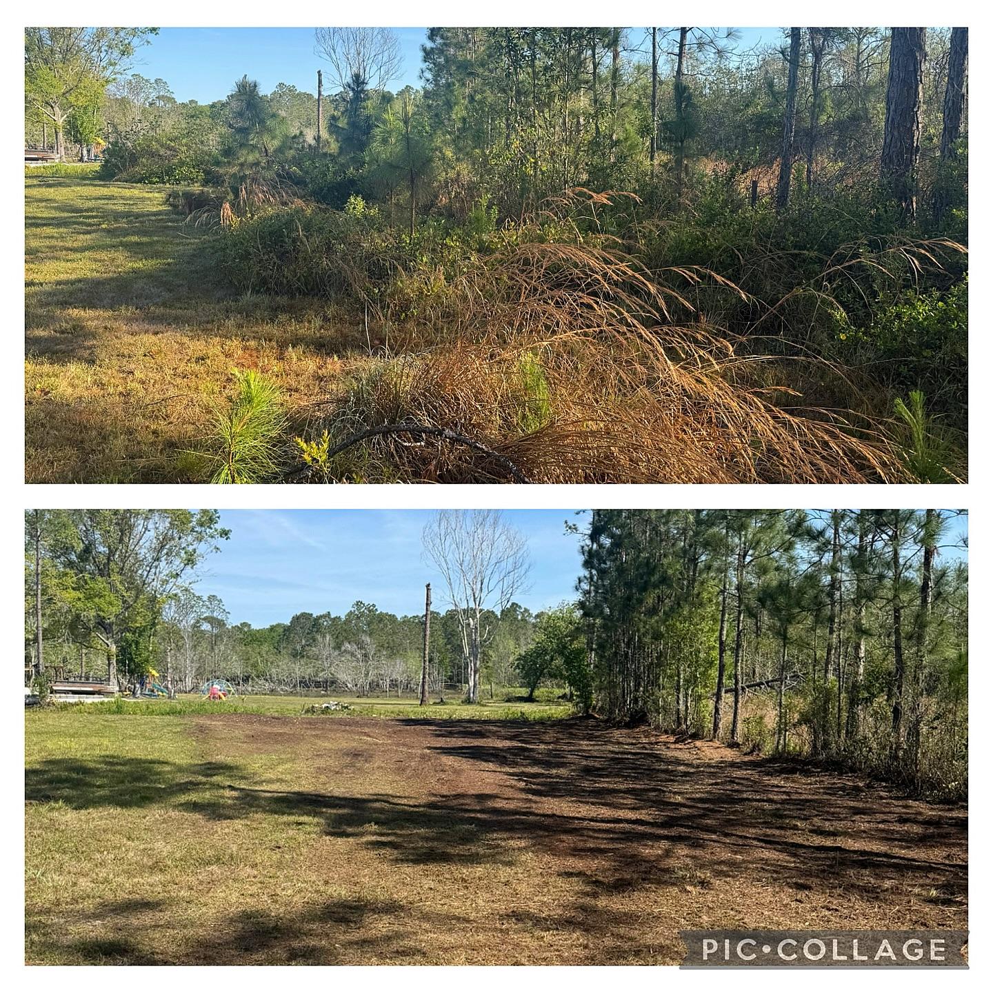 Gator Land Management project photo 14