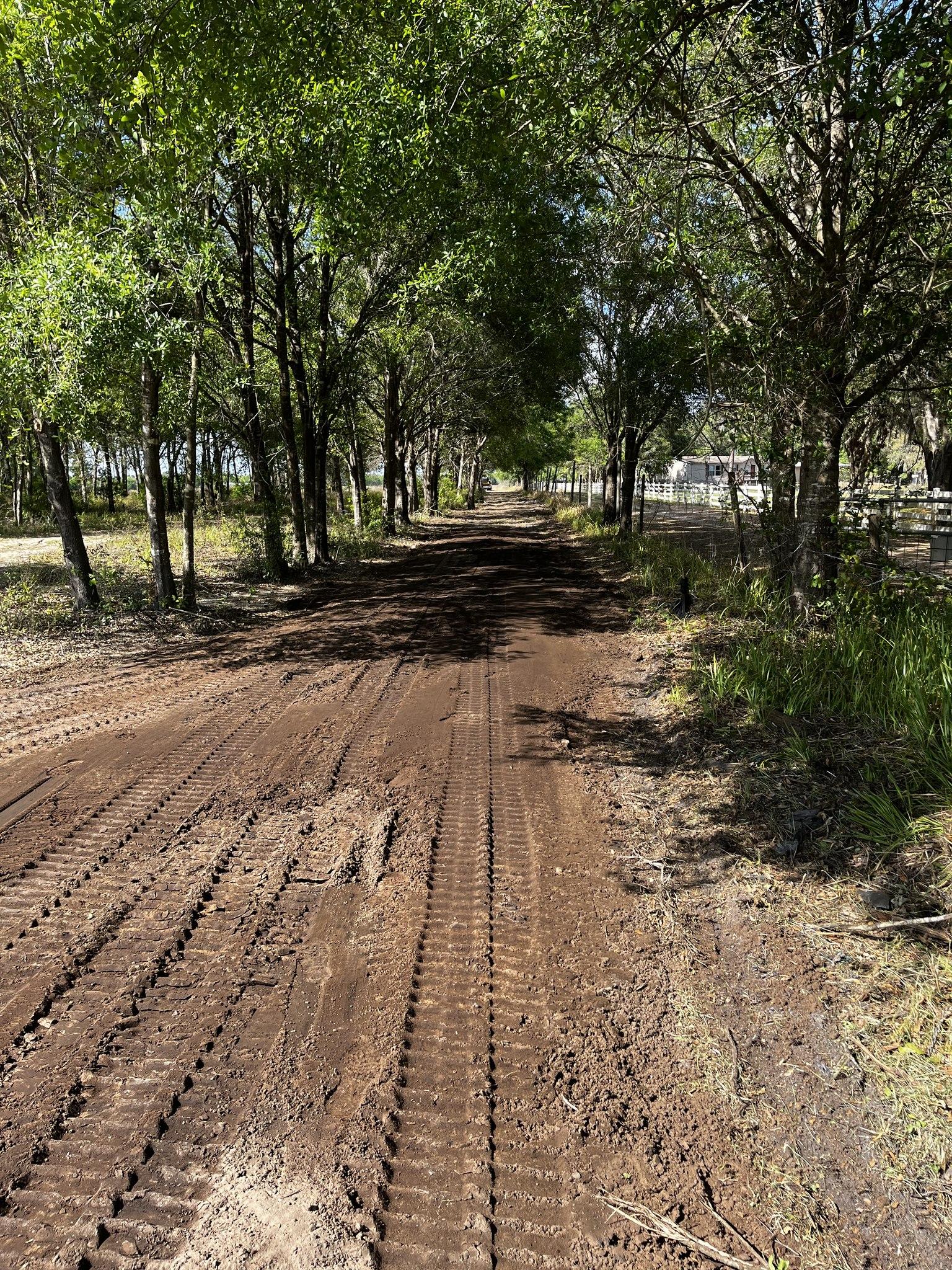 Gator Land Management project photo 16