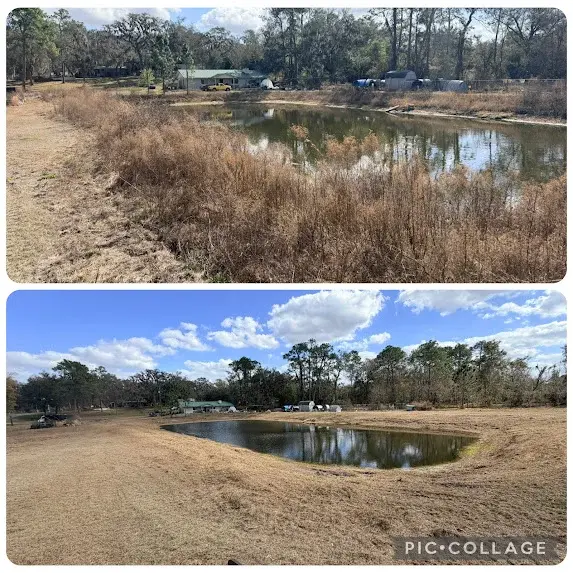 Gator Land Management work in Brandon, FL (photo 26)