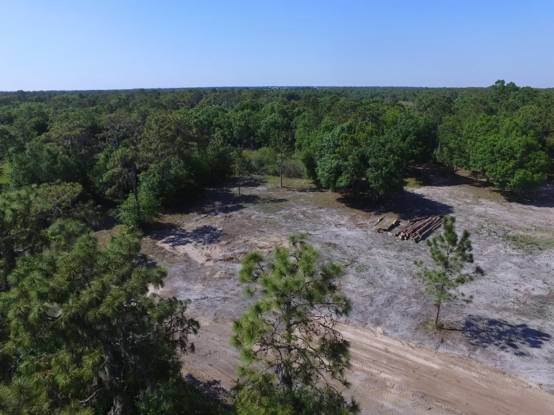 Gator Land Management work in Brandon, FL (photo 22)