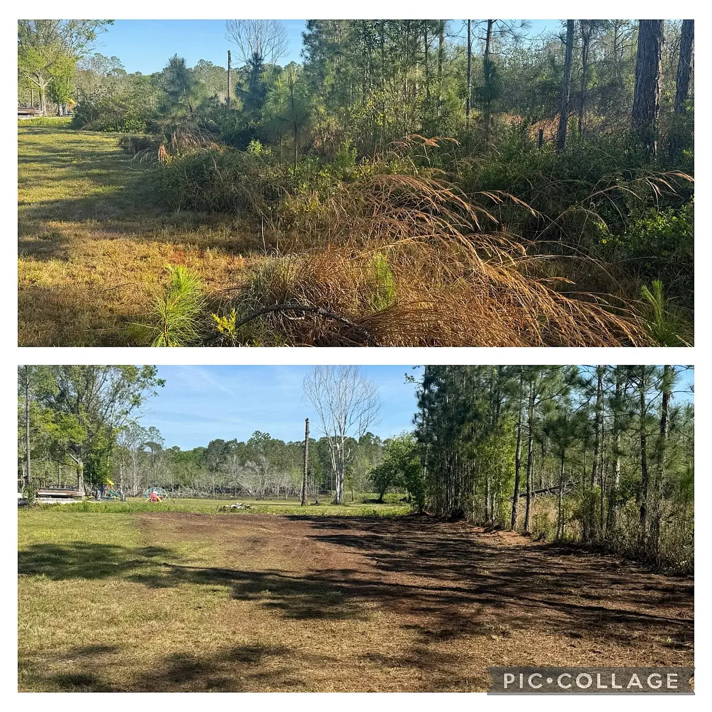Gator Land Management work in Brandon, FL (photo 14)