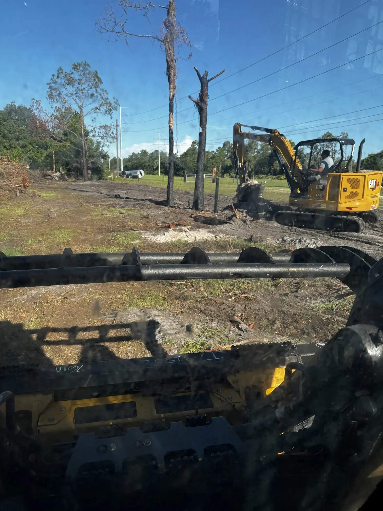 Gator Land Management work in Brandon, FL (photo 7)