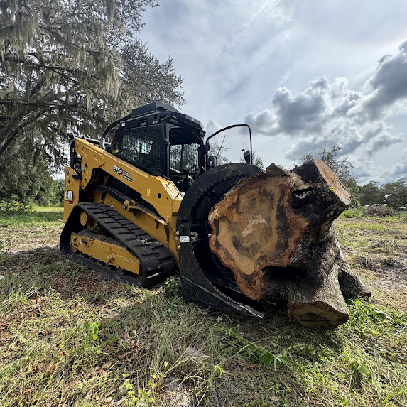 Land Clearing in Citrus County, Florida