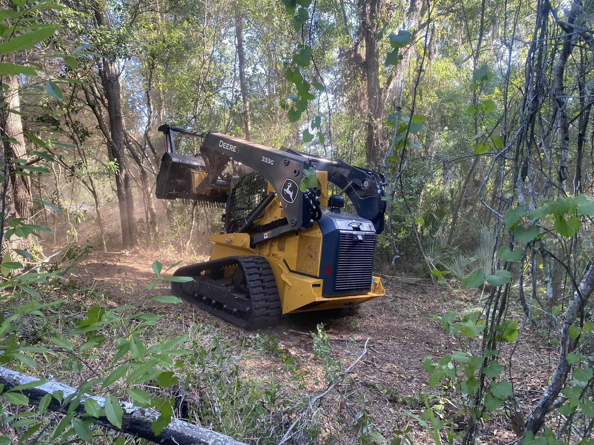 Forestry Mulching in Sarasota, Florida